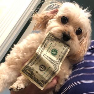 Meet your Posher, Kim